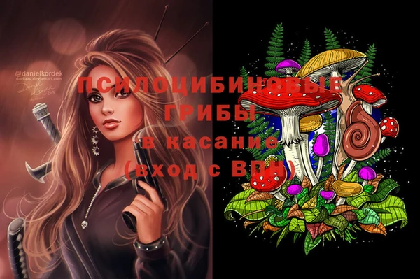 mdpv Гусь-Хрустальный