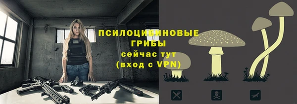 скорость Гусев