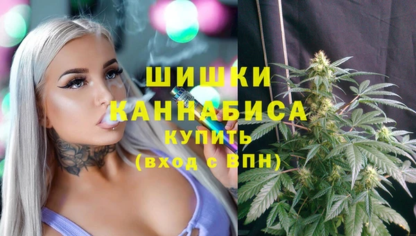 скорость Гусев